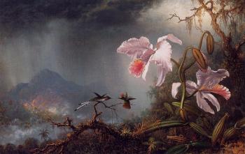 Martin Johnson Heade : Two Fighting Hummingbirds with Two Orchids